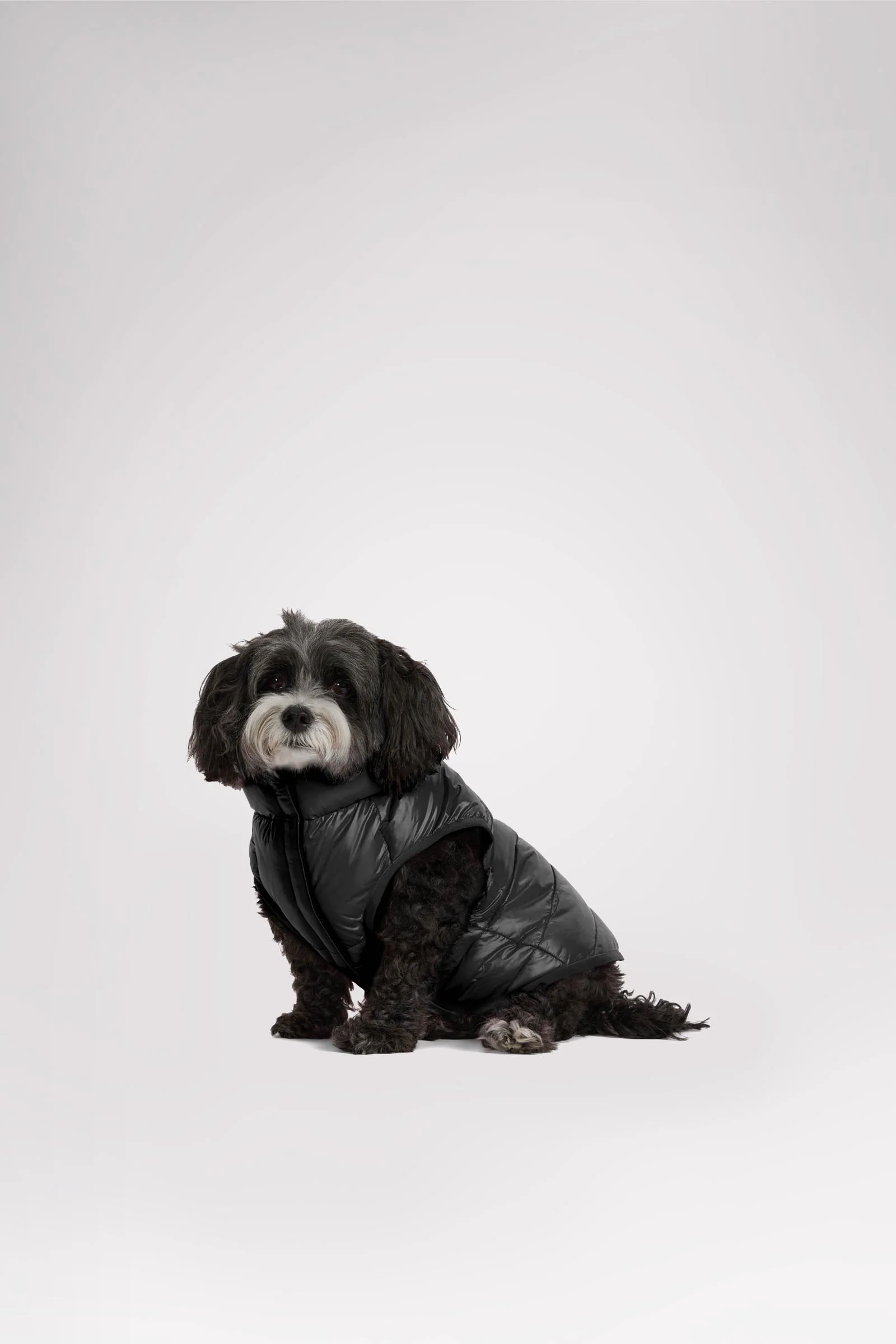 Cora Reversible Packable Puffer for Dogs - Image 12