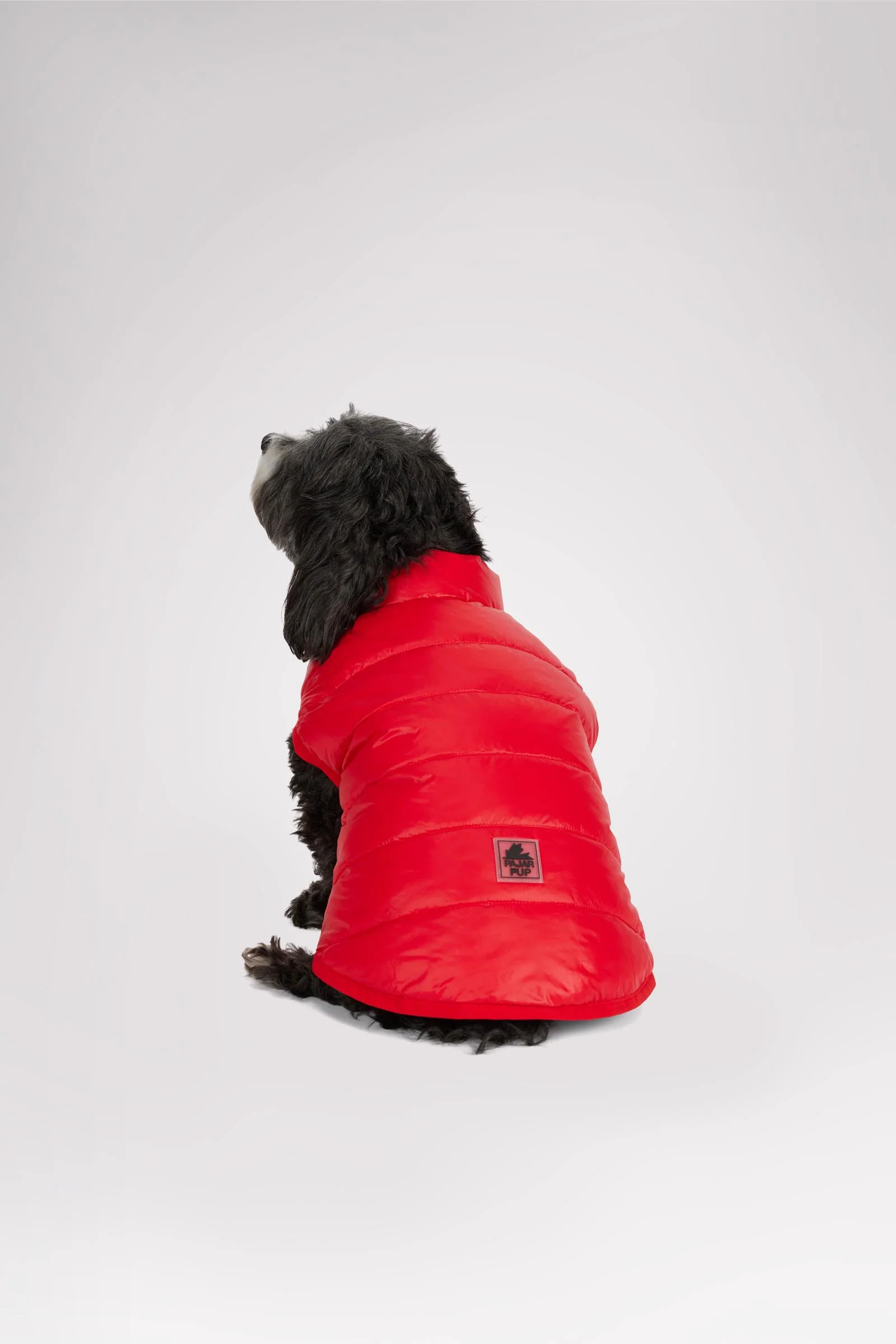 Cora Reversible Packable Puffer for Dogs - Image 2