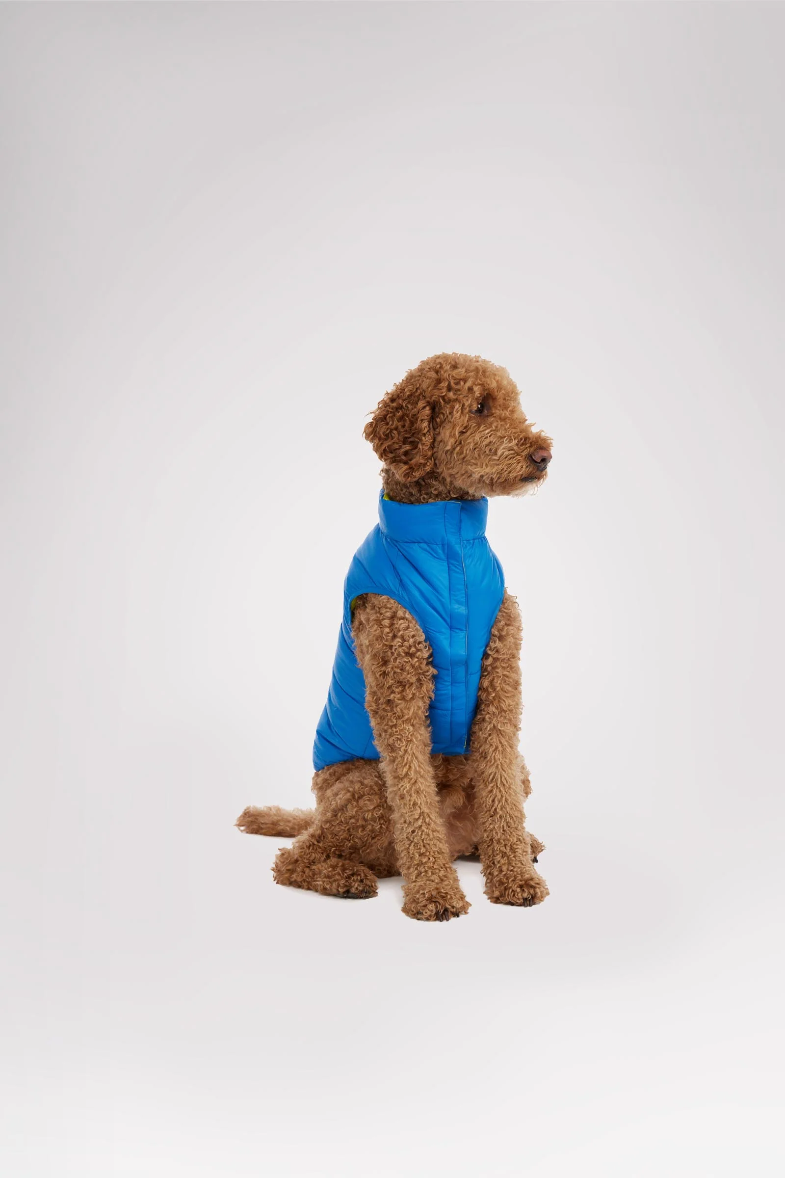 Cora Reversible Packable Puffer for Dogs - Image 6