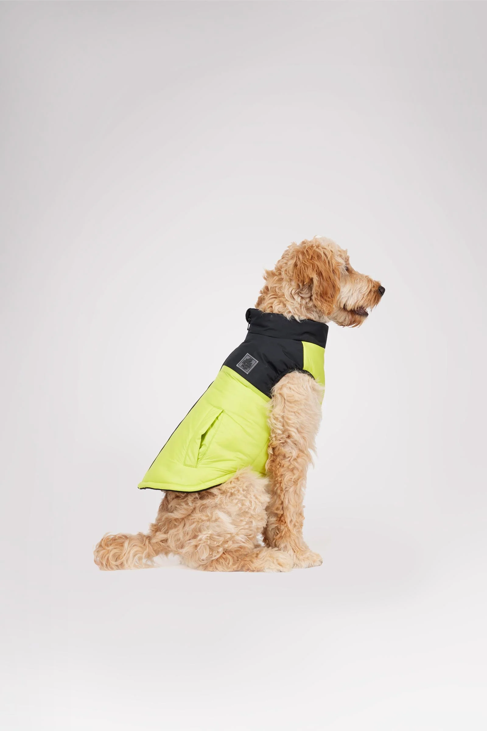 Derby Sporty Jacket for Dogs - Image 2