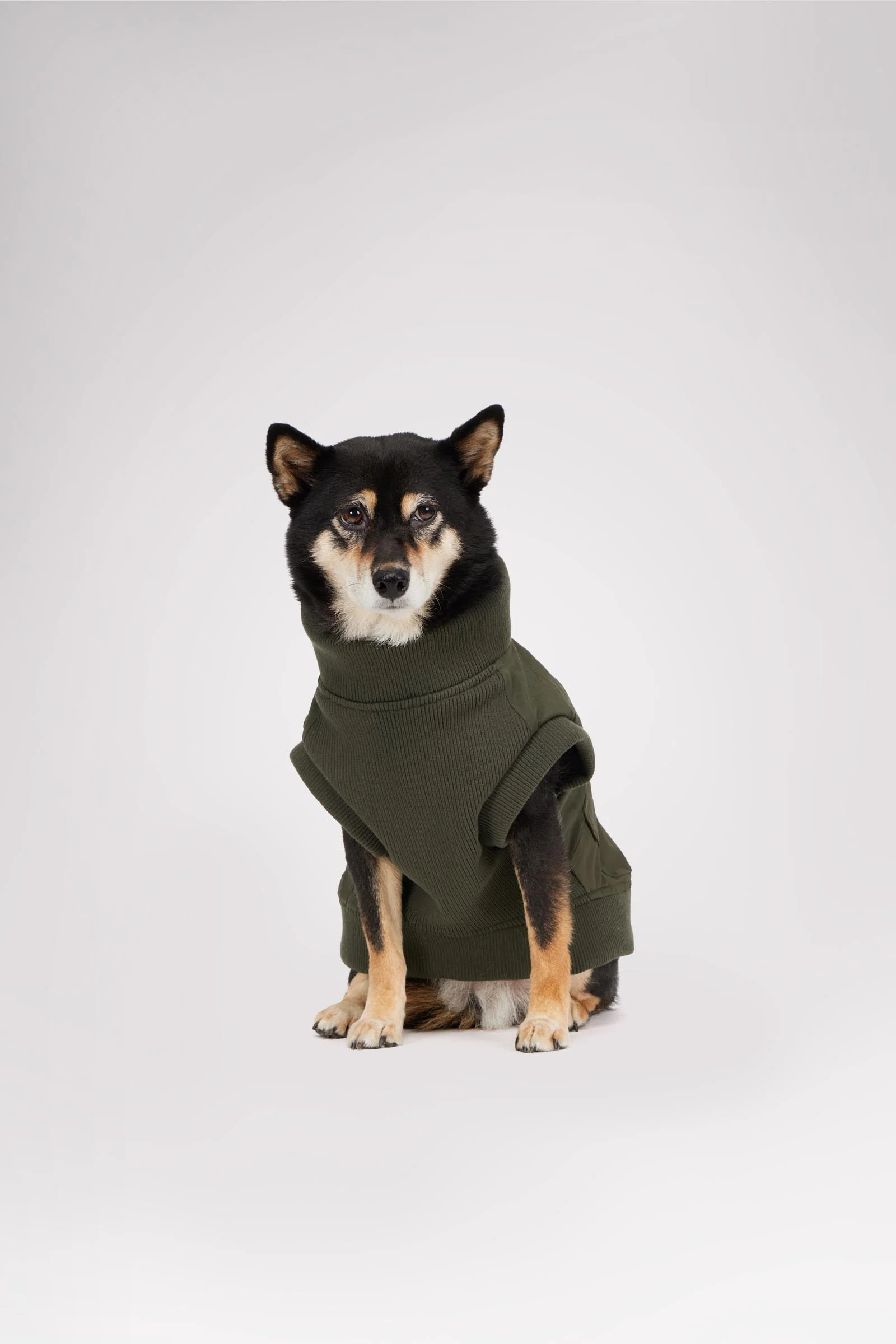 Marley Bomber Jacket for Dogs - Image 3