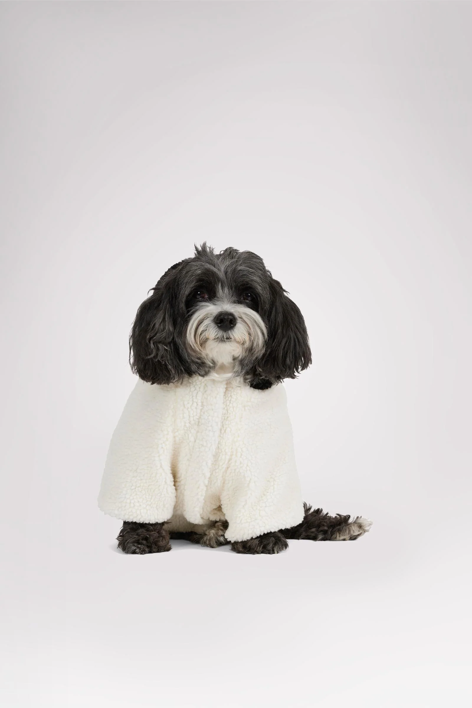 Max Jacket w/Hood for Dogs - Image 3