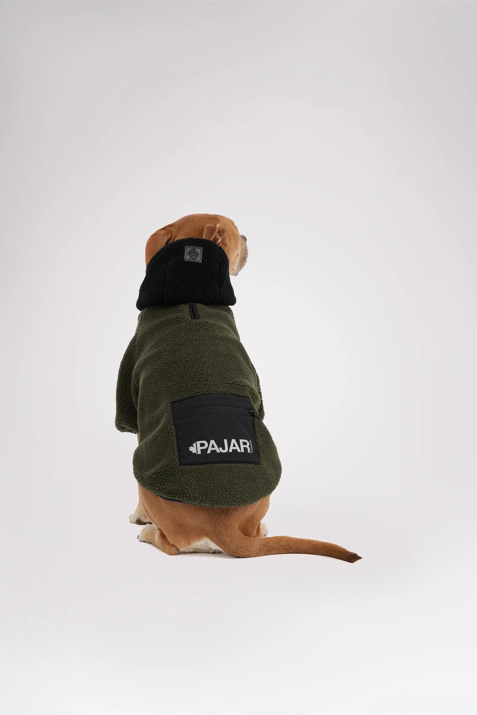 Max Jacket w/Hood for Dogs - Image 4