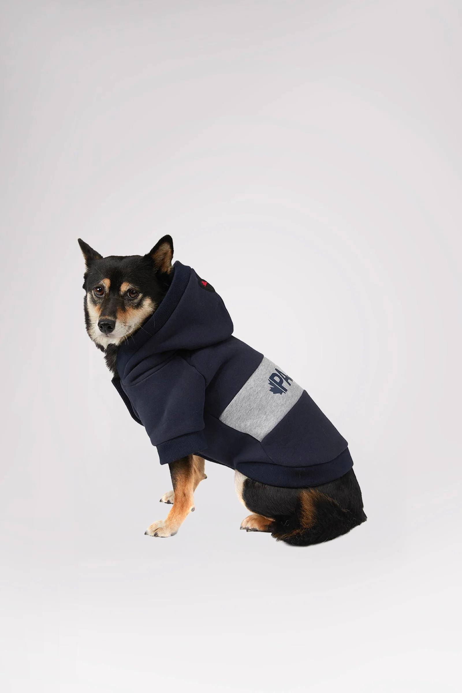 Osler Hoodie for Dogs