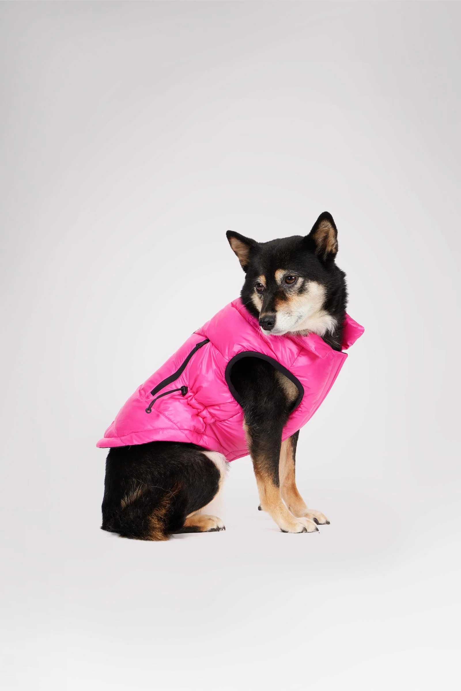 Rosie Quilted Coat w/cinched waist for Dogs - Image 2
