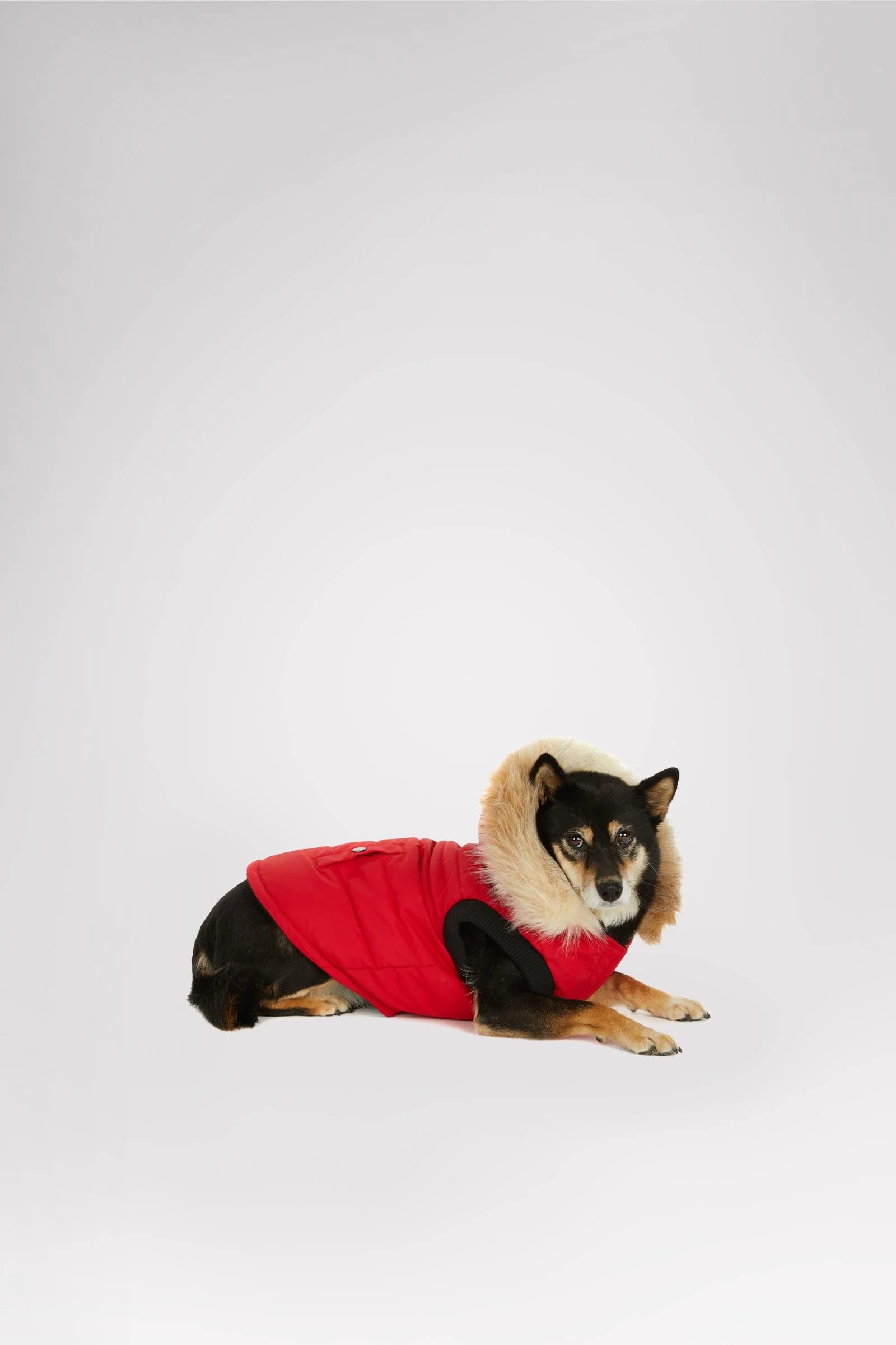 Toby Jacket for Dogs - Image 2