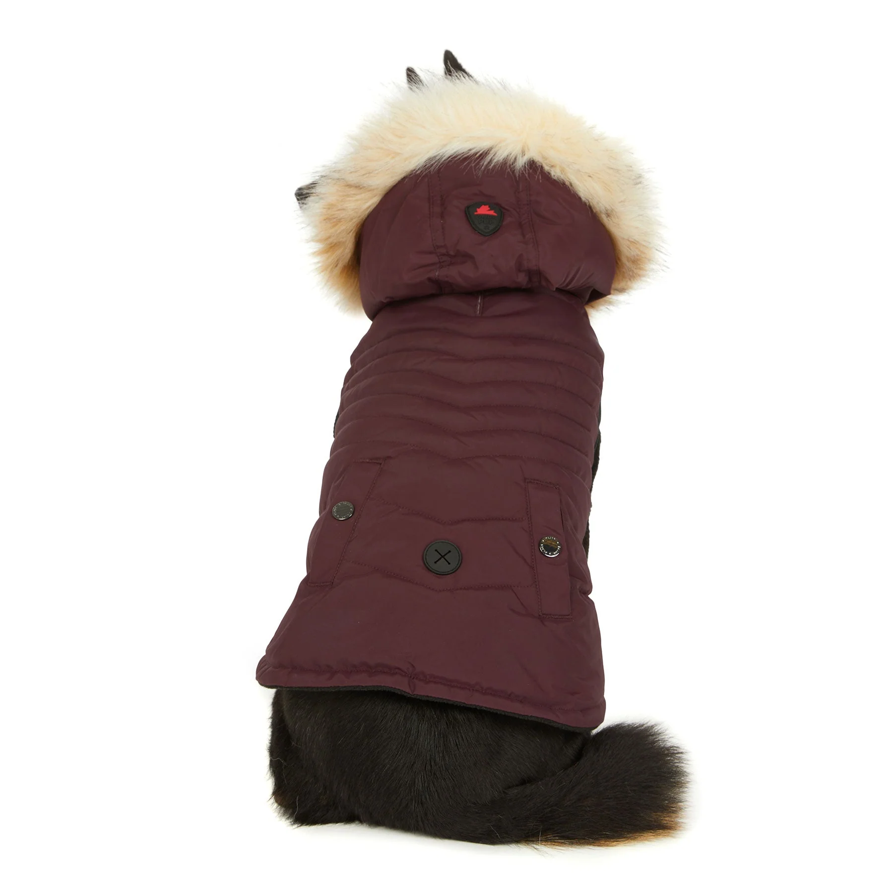 Toby Jacket for Dogs - Image 7