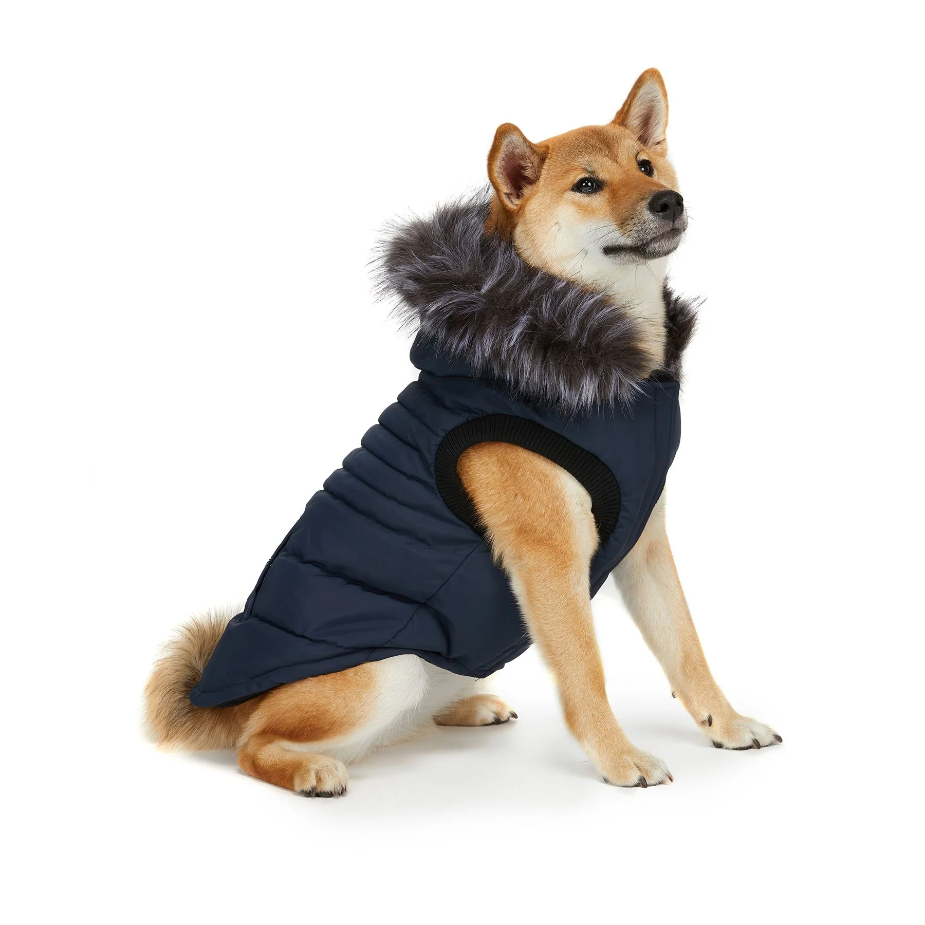 Toby Jacket for Dogs - Image 9