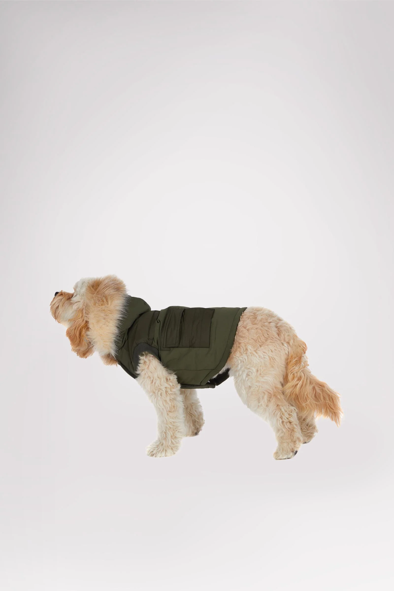 Zeus Jacket for Dogs w/Faux Fur Trim - Image 10