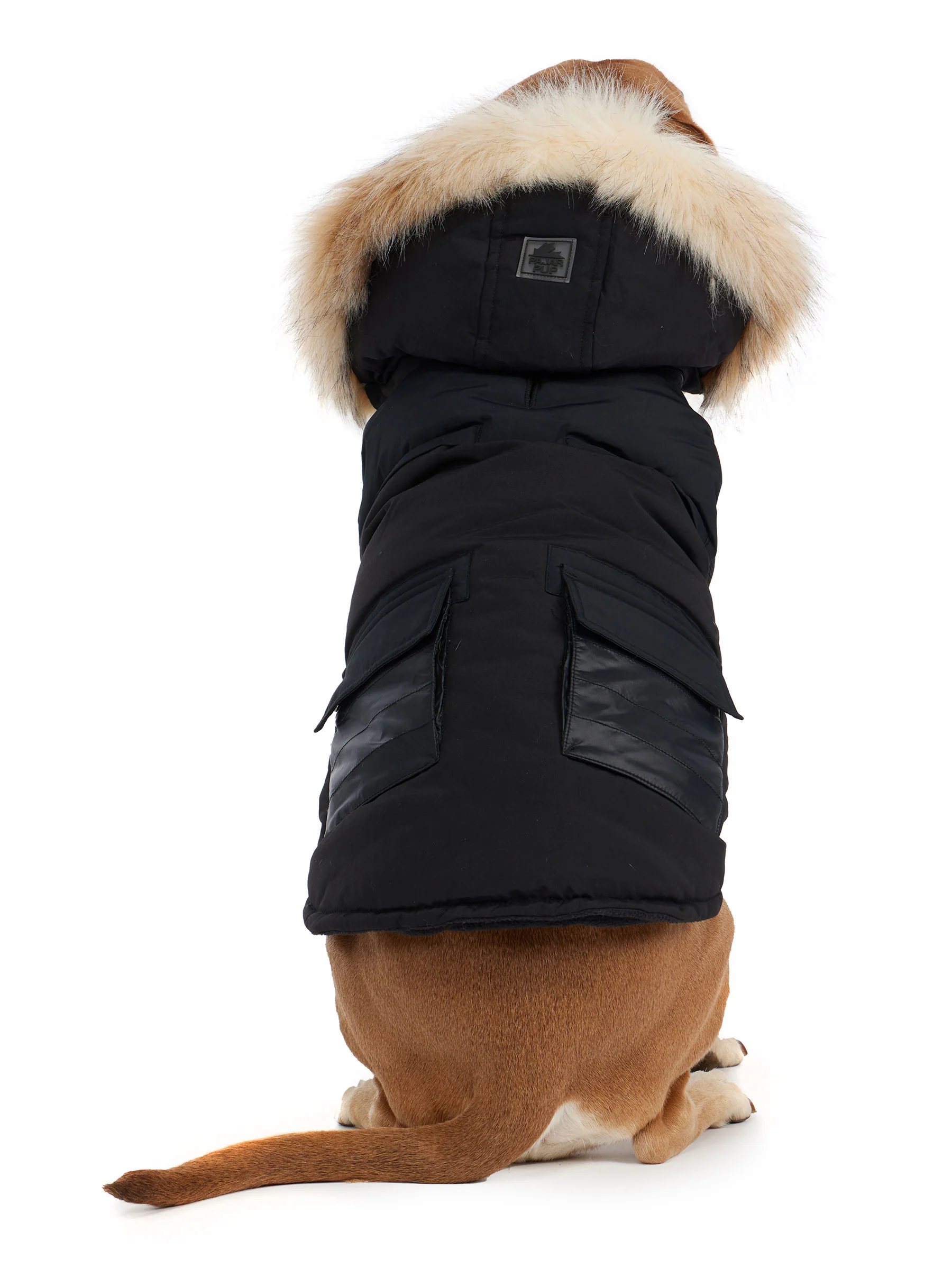 Zeus Jacket for Dogs w/Faux Fur Trim - Image 5