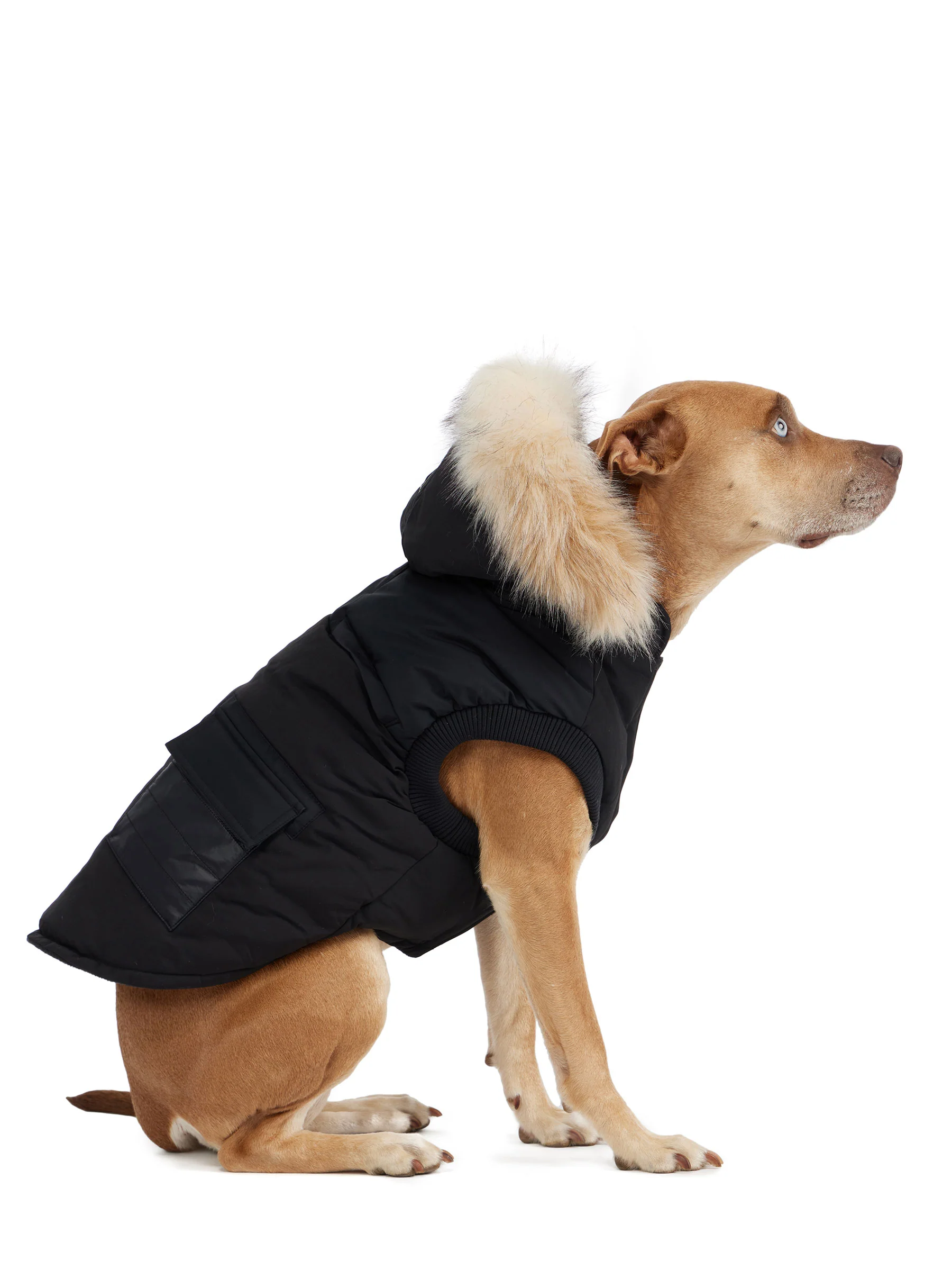 Zeus Jacket for Dogs w/Faux Fur Trim - Image 6